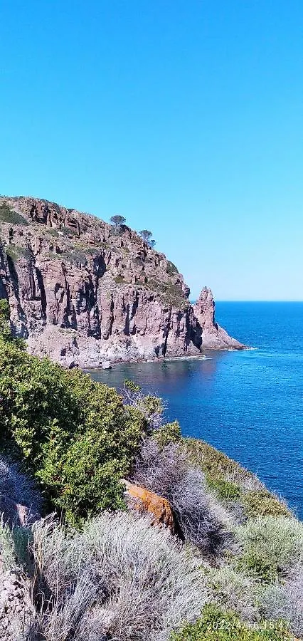 Voglia Di Mare Apartment Capraia