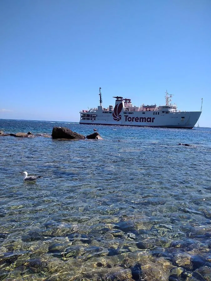Voglia Di Mare Apartment Capraia