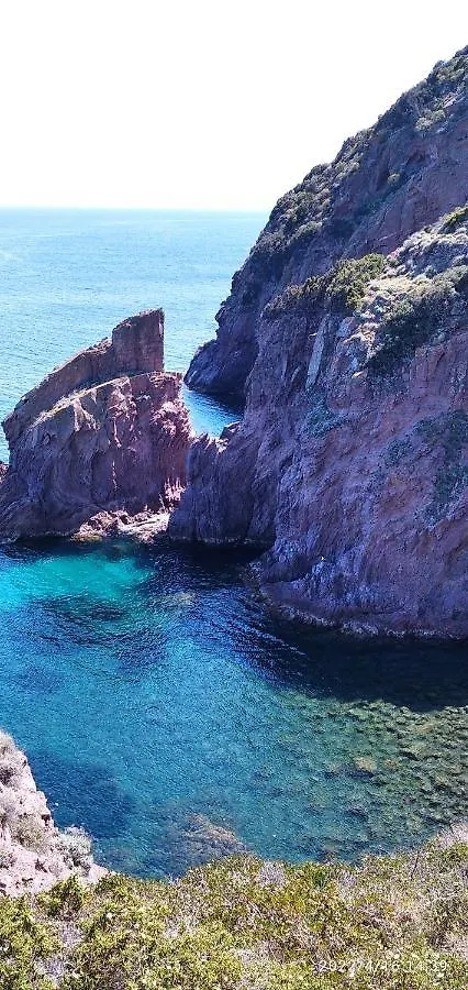 Voglia Di Mare Apartment Capraia