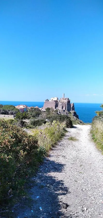 Voglia Di Mare Apartment Capraia