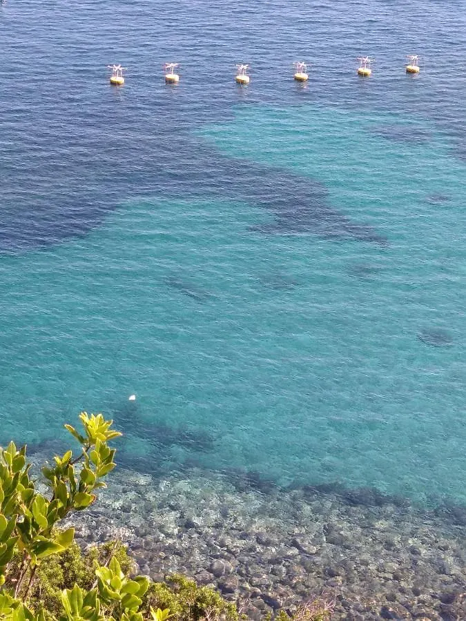 Voglia Di Mare Apartment Capraia
